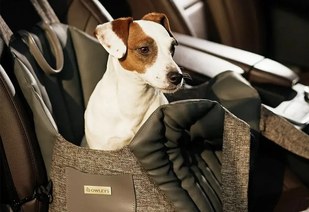 Italian Greyhound Dog Carrier Car Seat for Ford Mustang