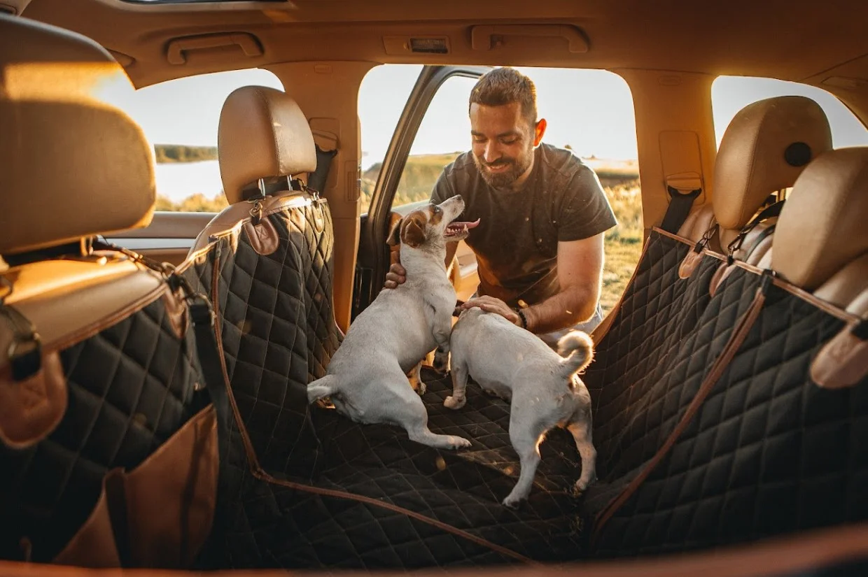 pet seat cover for Dodge Charger